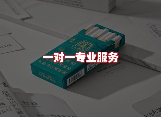 专业团队
